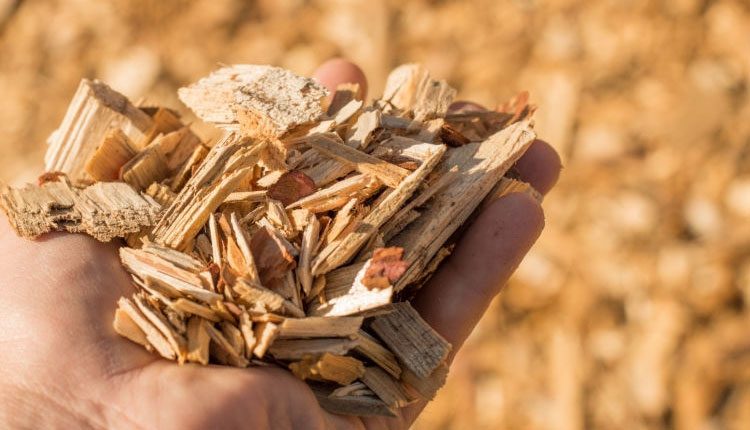 تاریخچه ساخت ورق ام دی اف MDF در ایران